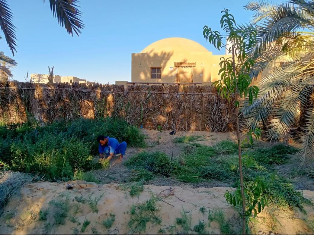 Wafla Siwa Oasis Exterior foto
