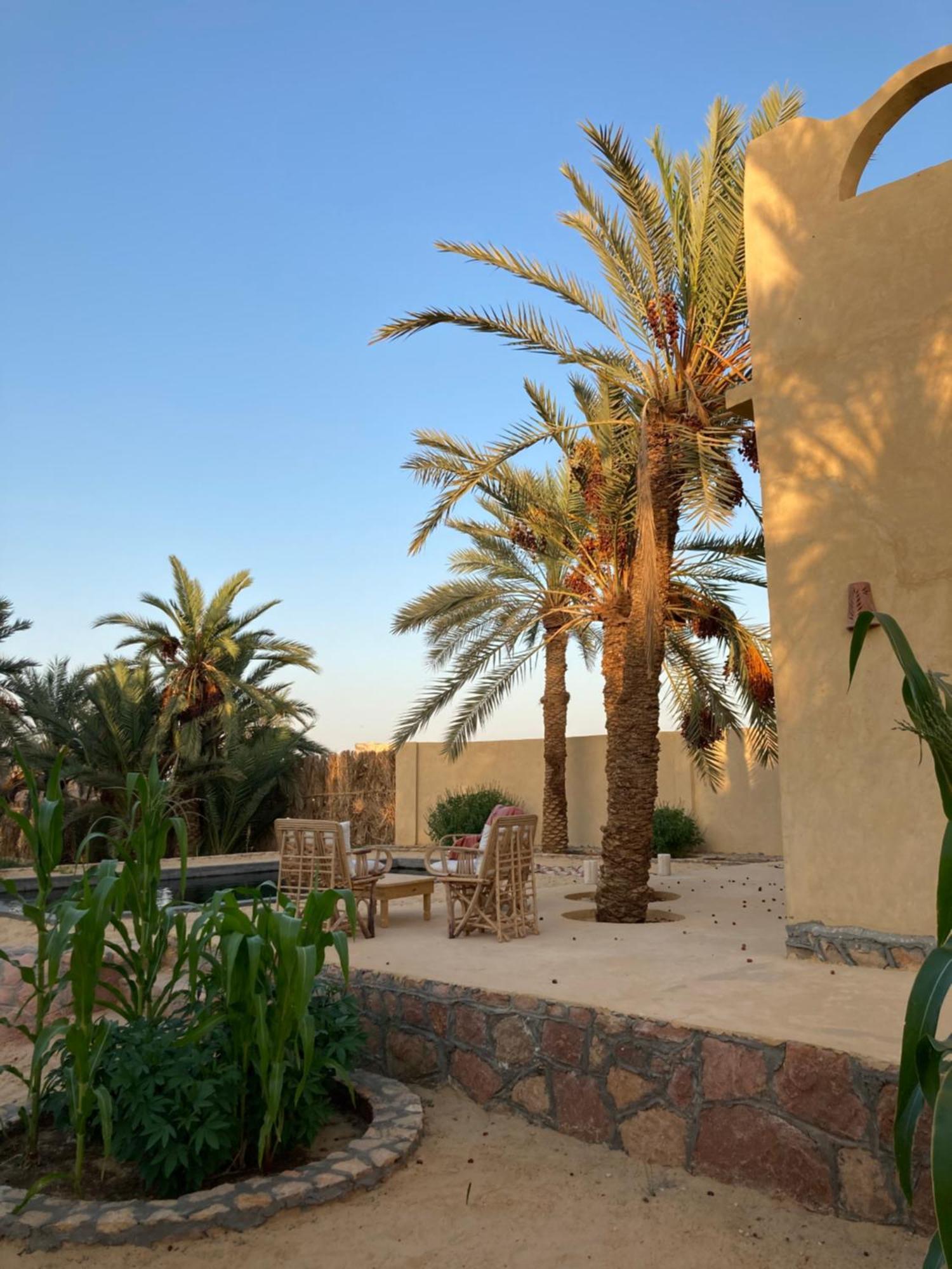 Wafla Siwa Oasis Exterior foto