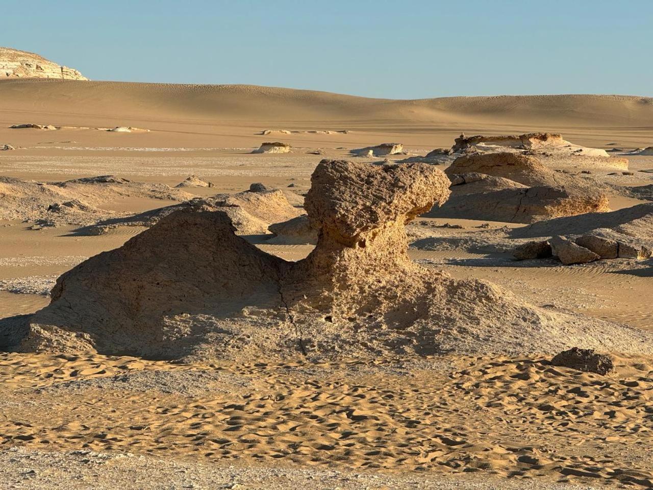 Wafla Siwa Oasis Exterior foto